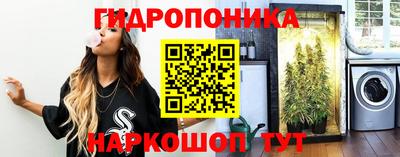 крисы Гудермес
